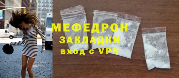 шишки Белая Холуница