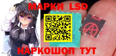 шишки Берёзовский