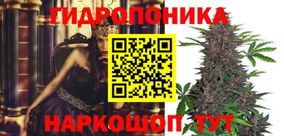 мет Бийск