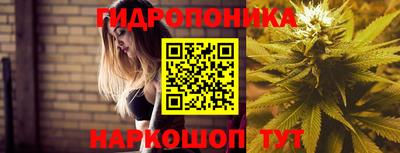 мет Бийск