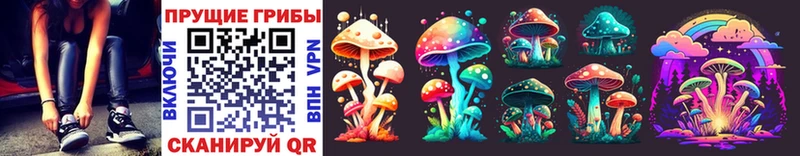 Псилоцибиновые грибы Cubensis  гидра сайт  Тавда  цены  