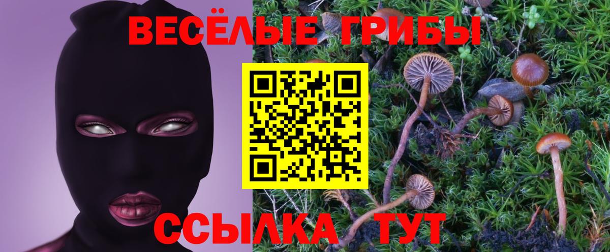 Псилоцибиновые грибы MAGIC MUSHROOMS Тавда