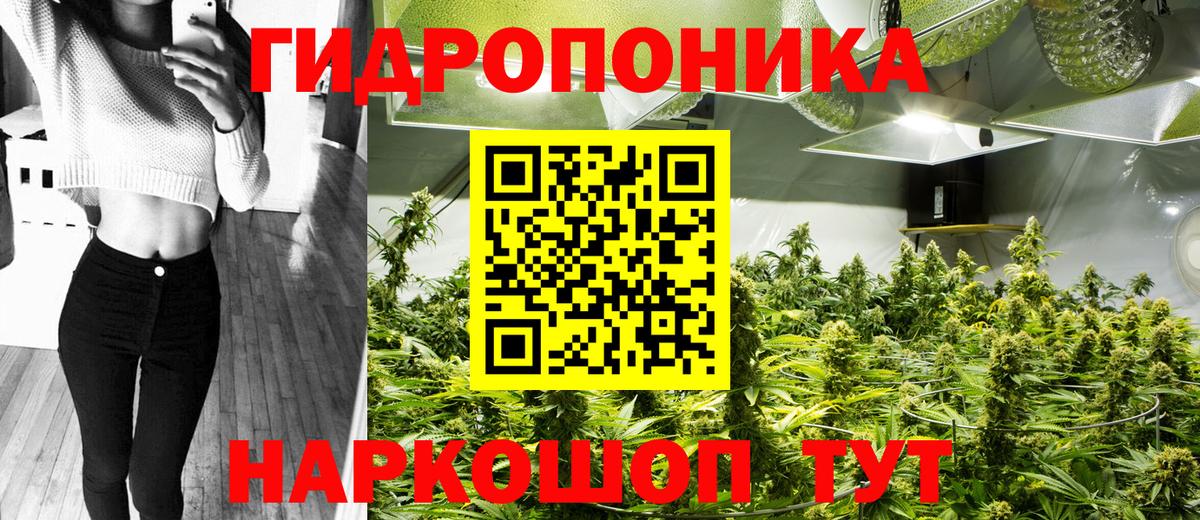 Каннабис марихуана Тавда