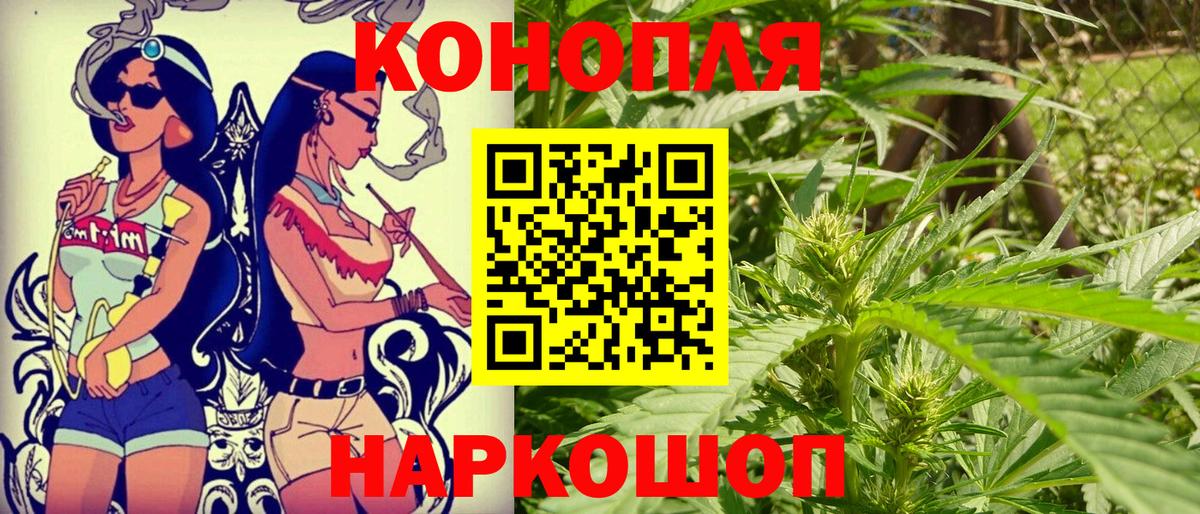 Бошки Шишки Тавда